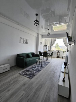 Apartament Mamaia Stefan Lake 2